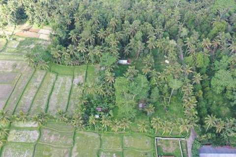 Land in Tegallalang, Gianyar, Indonesia No. 4260 3