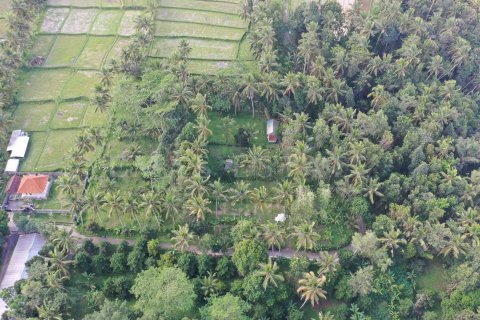 Land in Tegallalang, Gianyar, Indonesia No. 4260 2