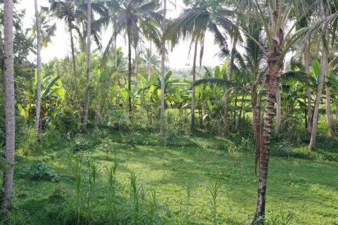Land in Tegallalang, Gianyar, Indonesia No. 4260 4