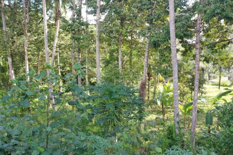 Land in Tegallalang, Gianyar, Indonesia No. 4260 6