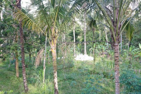 Land in Tegallalang, Gianyar, Indonesia No. 4260 7