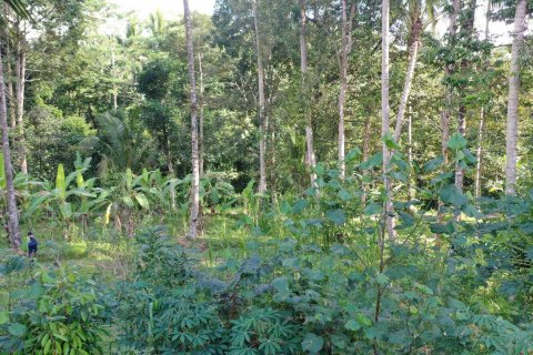 Land in Tegallalang, Gianyar, Indonesia No. 4260 8