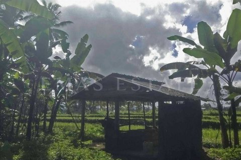 Land in Tegallalang, Gianyar, Indonesia No. 4260 5