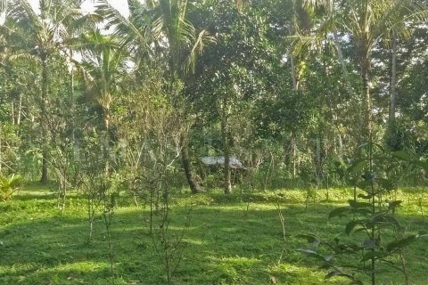 Land in Tegallalang, Gianyar, Indonesia No. 4260 9