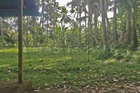 Land in Tegallalang, Gianyar, Indonesia No. 4260 10
