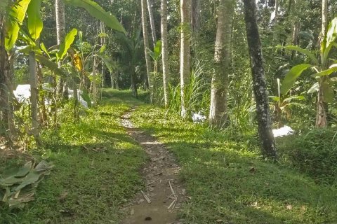 Land in Tegallalang, Gianyar, Indonesia No. 4260 11