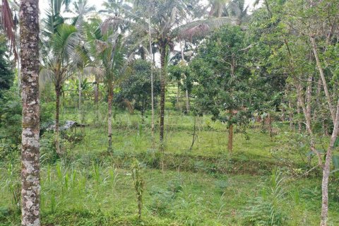 Land in Tegallalang, Gianyar, Indonesia No. 4260 12