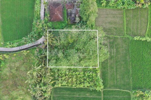 Land in Ubud, Gianyar, Indonesia No. 4261 1