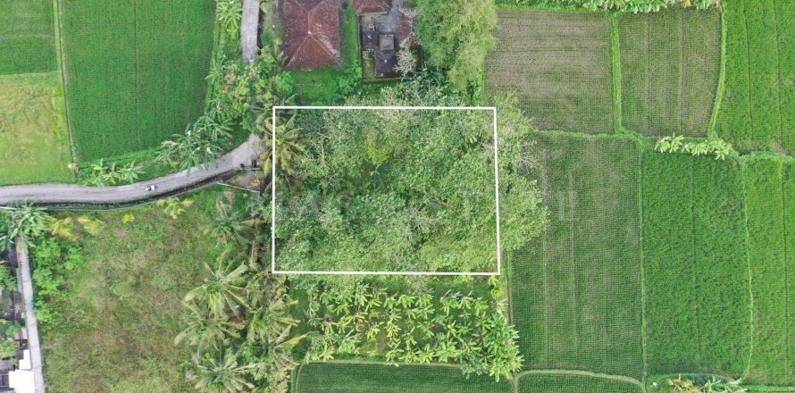 Land in Ubud, Gianyar, Indonesia No. 4261