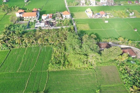 Land in Ubud, Gianyar, Indonesia No. 4261 2