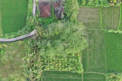 Land in Ubud, Gianyar, Indonesia No. 4261 3