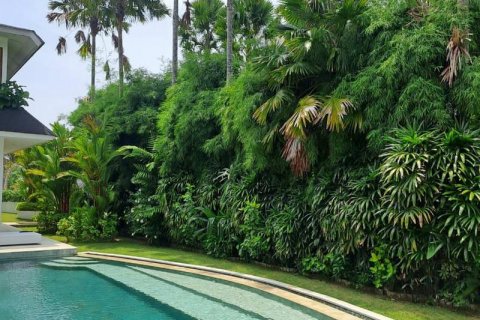 5 bedrooms Villa in Canggu, Badung, Indonesia No. 7688