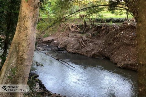1750m2 Land in Tabanan, Indonesia No. 7682 4