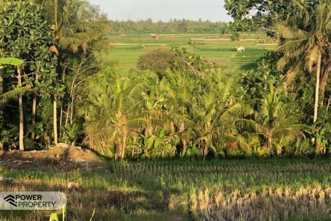 1750m2 Land in Tabanan, Indonesia No. 7682 3