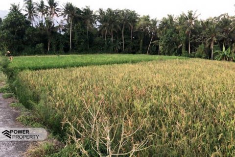 1750m2 Land in Tabanan, Indonesia No. 7682 2