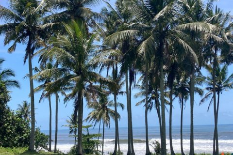 Land in Tabanan, Indonesia No. 11121 2
