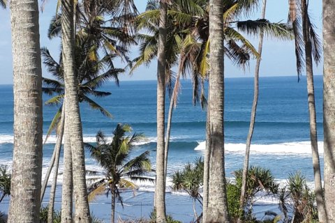 Land in Tabanan, Indonesia No. 11121 3