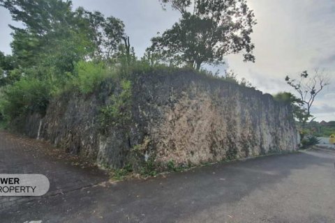 1750m2 Land in Jimbaran, Badung, Indonesia No. 8187 2