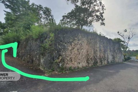 1750m2 Land in Jimbaran, Badung, Indonesia No. 8187 6