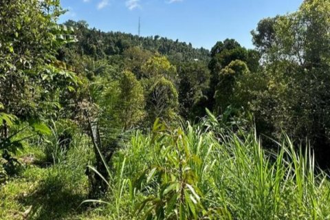 Land in Buleleng, Indonesia No. 11569 4