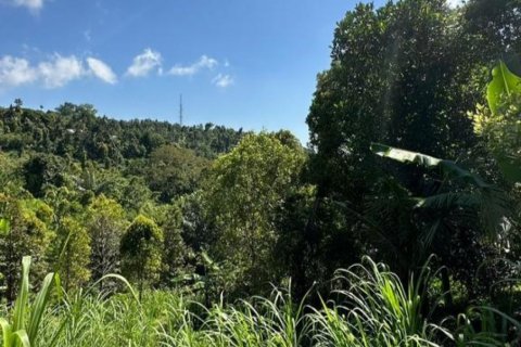 Land in Buleleng, Indonesia No. 11569 3