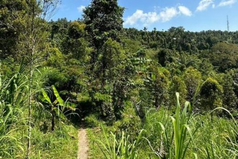 Land in Buleleng, Indonesia No. 11569