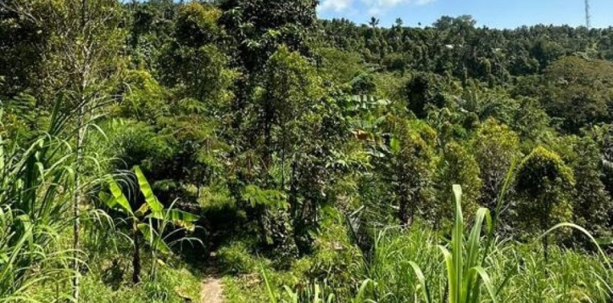 Land in Buleleng, Indonesia No. 11569