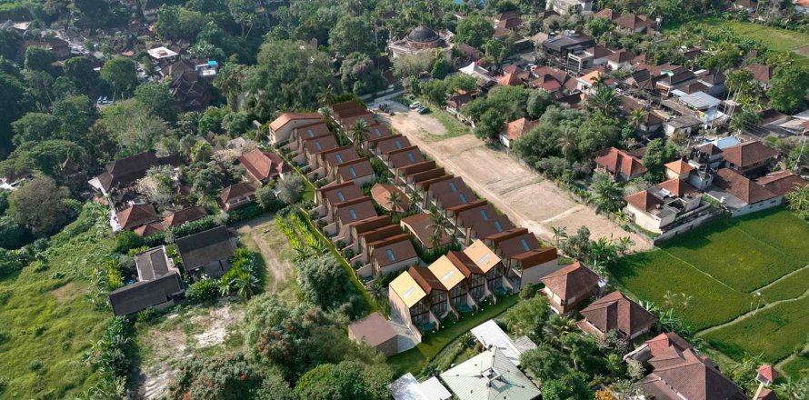 UBUD DREAM in Ubud, Gianyar, Indonesia No. 9859