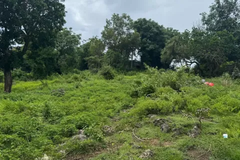 Land in Kuta, Badung, Indonesia No. 10913