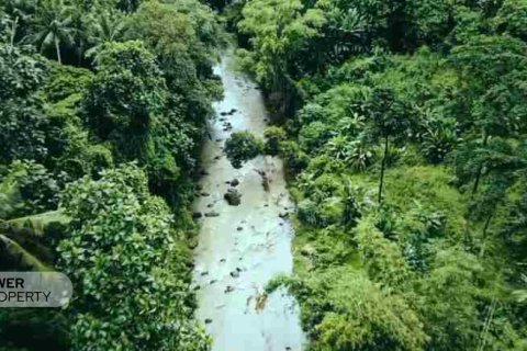 1500m2 Land in Tabanan, Indonesia No. 9307 3