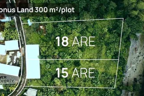 1500m2 Land in Tabanan, Indonesia No. 9307 1