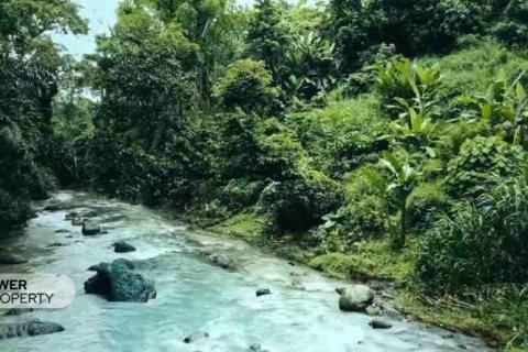 1500m2 Land in Tabanan, Indonesia No. 9307 4