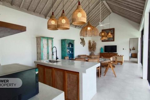 2 bedrooms Villa in Canggu, Badung, Indonesia No. 9304 13