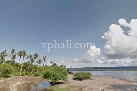 44670m2 Land in Sumbawa, Indonesia No. 414 10