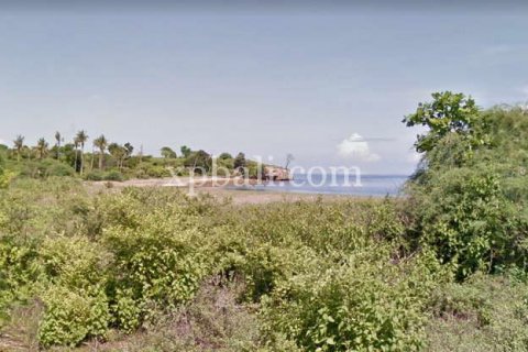44670m2 Land in Sumbawa, Indonesia No. 414 2
