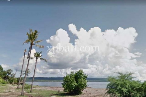 44670m2 Land in Sumbawa, Indonesia No. 414 7