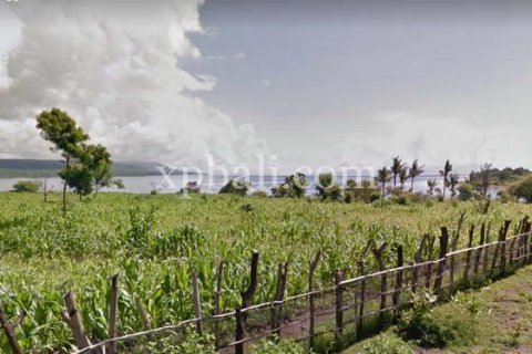 44670m2 Land in Sumbawa, Indonesia No. 414 3