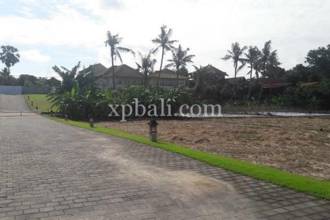 2598m2 Land in Gianyar, Indonesia No. 416 5