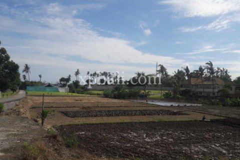 2598m2 Land in Gianyar, Indonesia No. 416 6