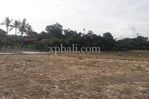 2598m2 Land in Gianyar, Indonesia No. 416 2