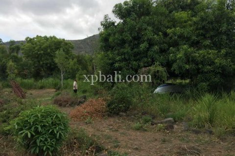 3350m2 Land in Karangasem, Karang Asem, Indonesia No. 412 8