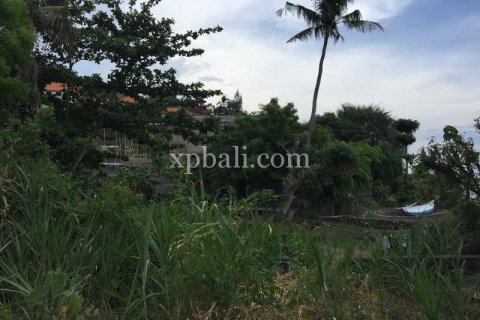 3350m2 Land in Karangasem, Karang Asem, Indonesia No. 412 3