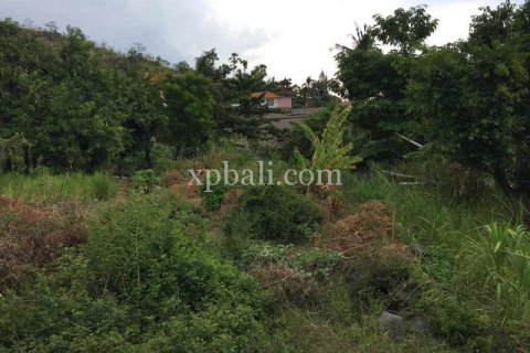 3350m2 Land in Karangasem, Karang Asem, Indonesia No. 412 4
