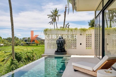 3 bedrooms Villa in Canggu, Badung, Indonesia No. 12499