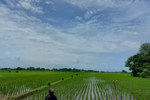 Land in Kediri, Indonesia No. 13492 1