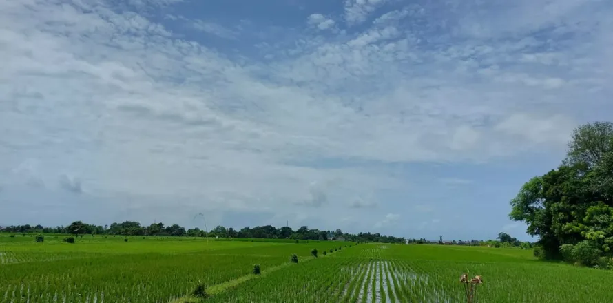 Land in Kediri, Indonesia No. 13492