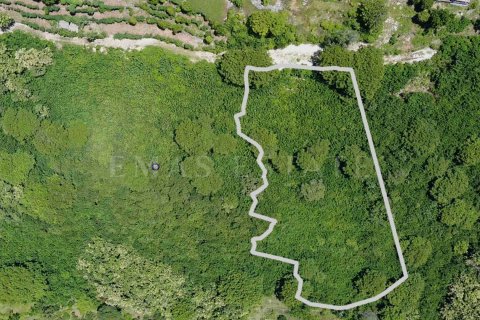 Земельный участок в Nusa Penida, Клунгкунг, Индонезия № 4299