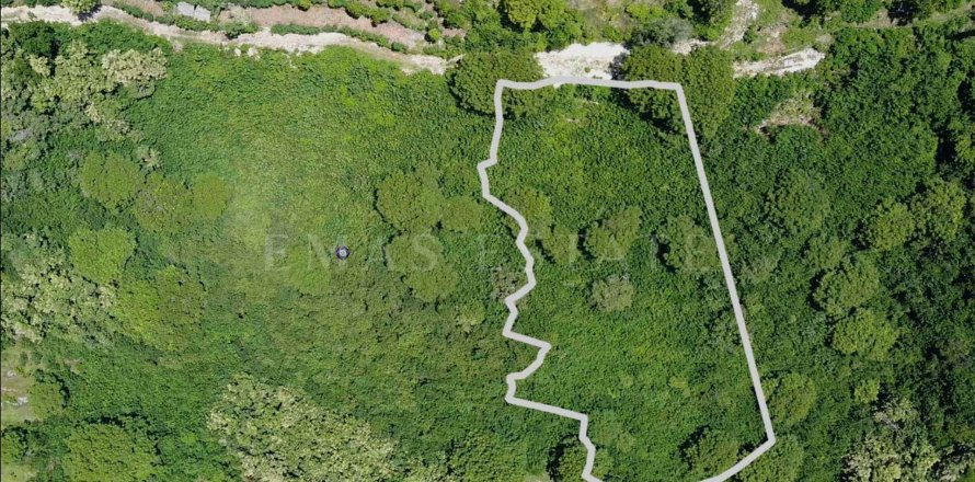 Land in Nusa Penida, Klungkung, Indonesia No. 4299