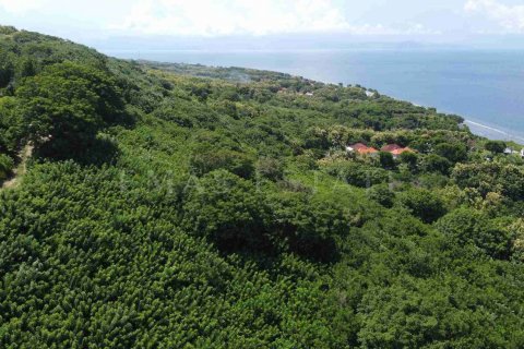Land in Nusa Penida, Klungkung, Indonesia No. 4299 2