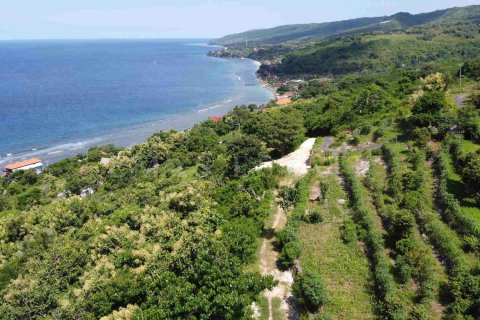 Land in Nusa Penida, Klungkung, Indonesia No. 4299 3